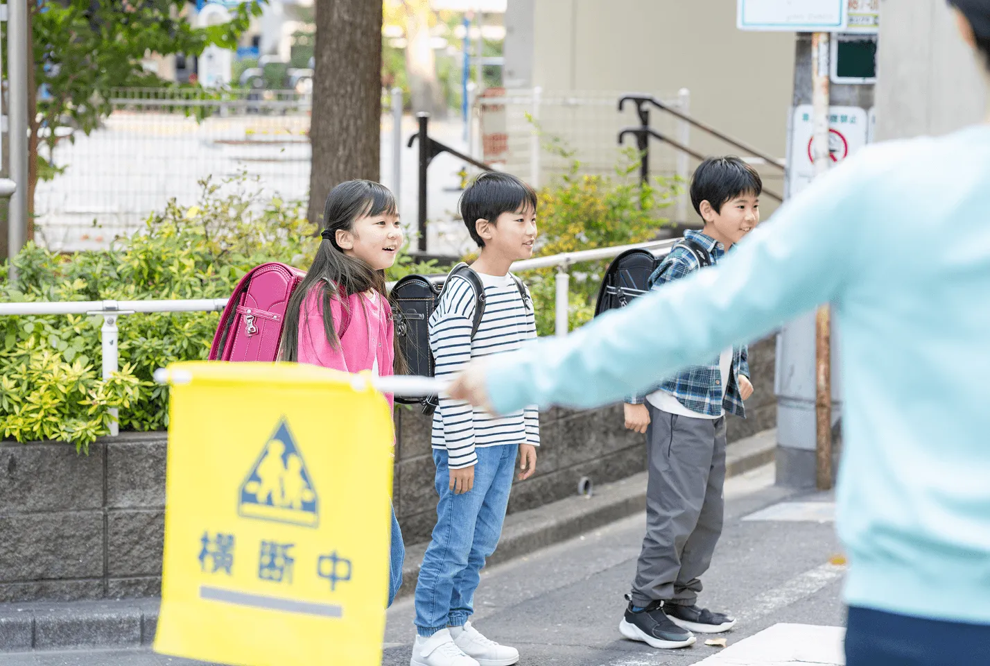 横断中の黄色い旗の前で、横断歩道を待つランドセルの子どもたち